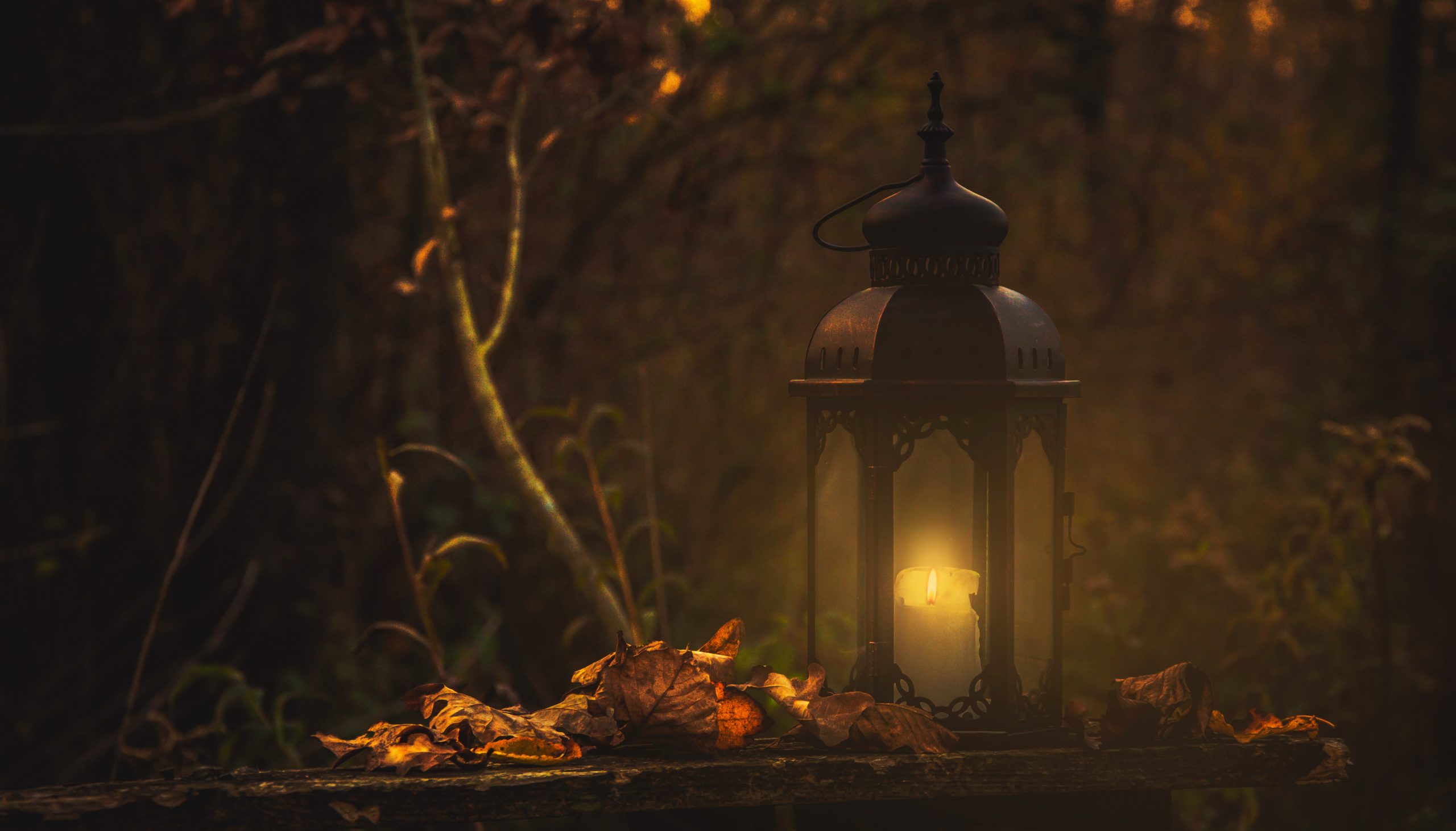 Samhain portail du passage de la lumière vers la nuit